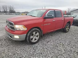 Dodge Vehiculos salvage en venta: 2011 Dodge RAM 1500