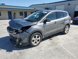 SUV salvage a la venta en subasta: 2014 Ford Escape SE