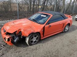 Salvage cars for sale at Cicero, IN auction: 2004 Ford Mustang