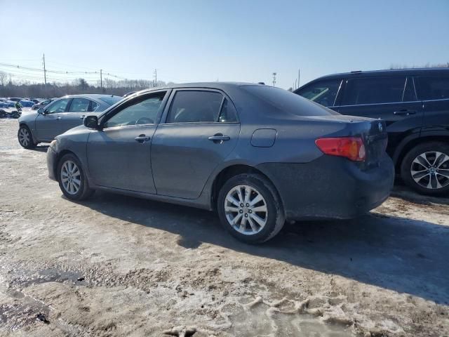 2010 Toyota Corolla Base