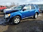 2008 Ford Escape HEV