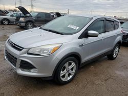 Salvage cars for sale at Elgin, IL auction: 2015 Ford Escape SE