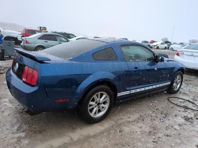 2006 Ford Mustang