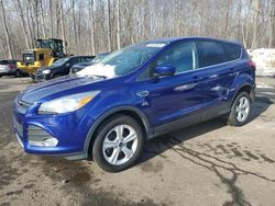 Clean Title Cars for sale at auction: 2016 Ford Escape SE