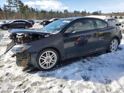 Salvage cars for sale at Windham, ME auction: 2009 Scion TC