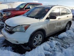 Salvage cars for sale at Littleton, CO auction: 2010 Honda CR-V EX