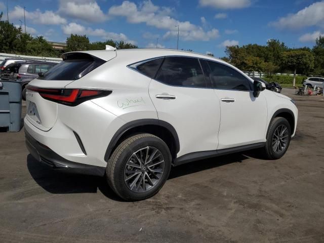 2024 Lexus NX 250 Premium