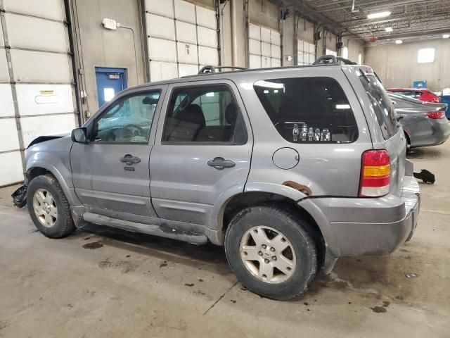 2007 Ford Escape XLT