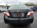 2008 Toyota Camry Hybrid