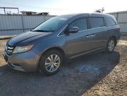 Honda Odyssey ex salvage cars for sale: 2014 Honda Odyssey EX