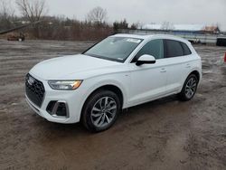 Salvage cars for sale at Columbia Station, OH auction: 2023 Audi Q5 Premium Plus 45