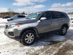 Salvage cars for sale at Columbia Station, OH auction: 2013 KIA Sorento LX