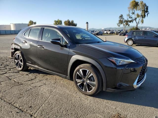 2020 Lexus UX 250H