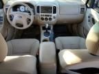 2007 Ford Escape XLT