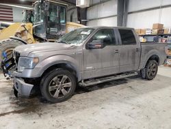 Salvage cars for sale at Greenwood, NE auction: 2014 Ford F150 Supercrew