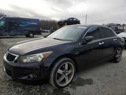 Salvage cars for sale at Windsor, NJ auction: 2010 Honda Accord EXL