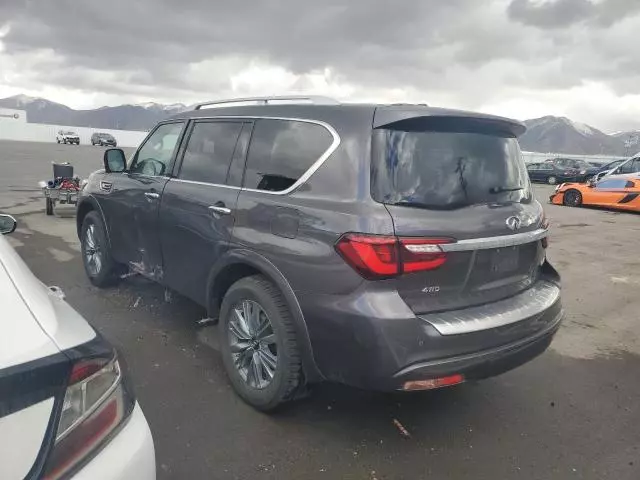 2024 Infiniti QX80 Luxe