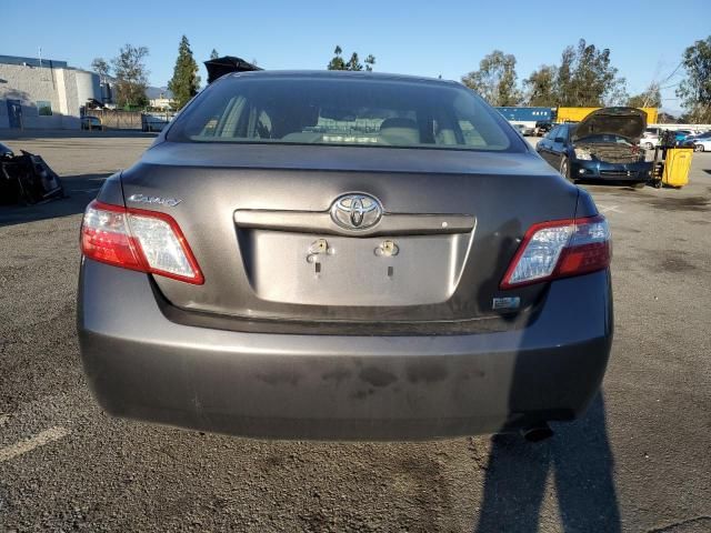 2009 Toyota Camry Hybrid