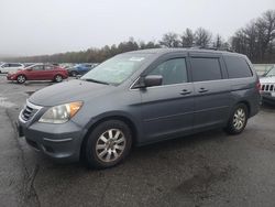 Salvage cars for sale at Brookhaven, NY auction: 2010 Honda Odyssey EXL