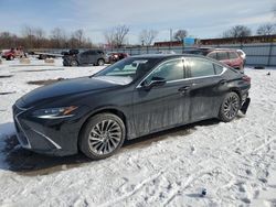 Salvage cars for sale at Chicago Heights, IL auction: 2024 Lexus ES 350 Base