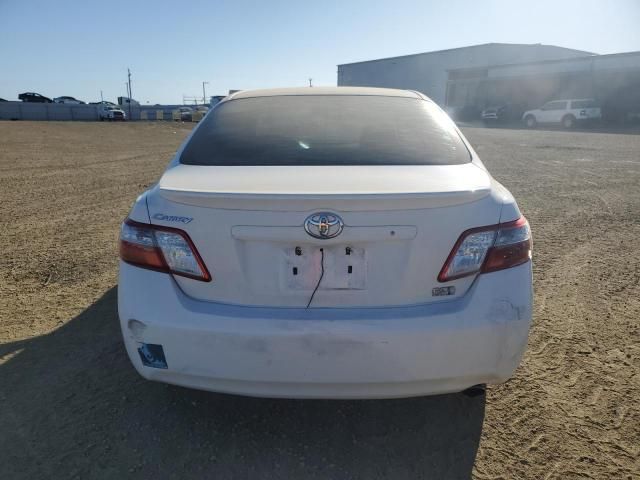 2007 Toyota Camry Hybrid