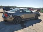 2002 Ford Mustang GT