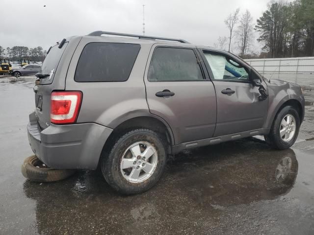 2011 Ford Escape XLT