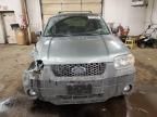 2007 Ford Escape XLT