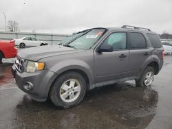 Salvage cars for sale at Dunn, NC auction: 2011 Ford Escape XLT