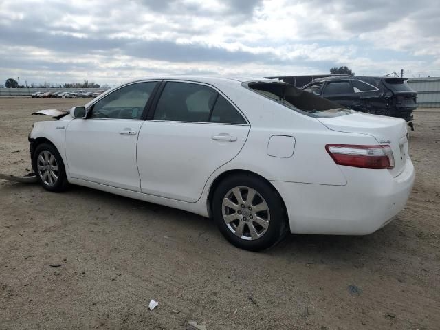 2009 Toyota Camry Hybrid