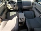 2010 Ford Escape XLS