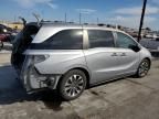 2021 Honda Odyssey EXL