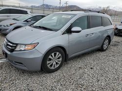 Salvage Cars with No Bids Yet For Sale at auction: 2016 Honda Odyssey SE