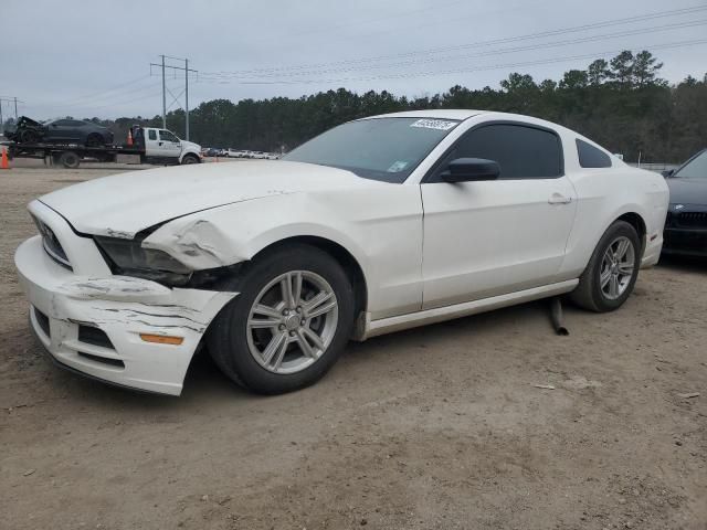 2013 Ford Mustang