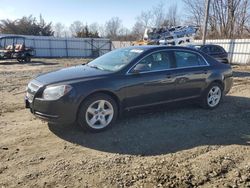 2009 Chevrolet Malibu LS en venta en Windsor, NJ