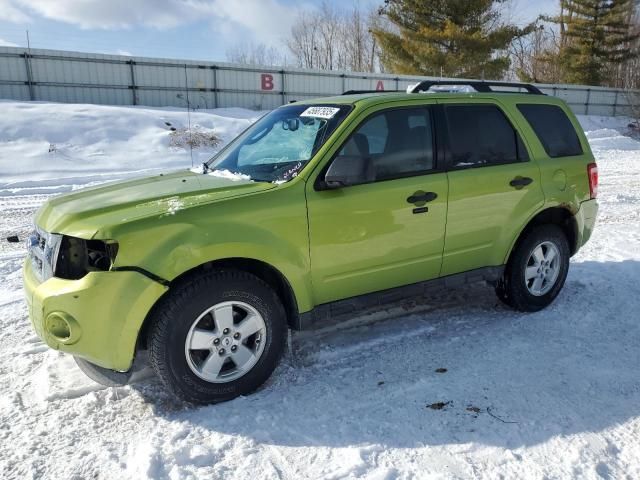 2012 Ford Escape XLT