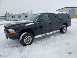 Dodge Vehiculos salvage en venta: 2000 Dodge Dakota