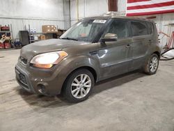 Salvage cars for sale at Milwaukee, WI auction: 2013 KIA Soul +