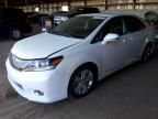 2010 Lexus HS 250H