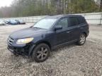 2008 Hyundai Santa FE SE