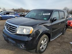 Salvage cars for sale at Hillsborough, NJ auction: 2014 Honda Pilot Exln