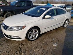 Salvage cars for sale from Copart Louisville, KY: 2013 Volkswagen CC Luxury