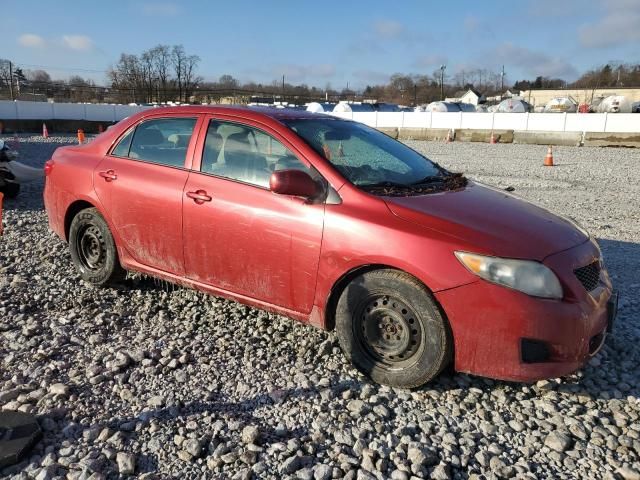 2010 Toyota Corolla Base