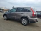 2010 Honda CR-V EXL