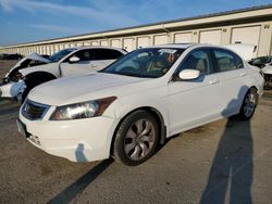 Salvage cars for sale at Louisville, KY auction: 2010 Honda Accord EXL