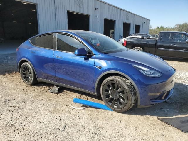 2020 Tesla Model Y