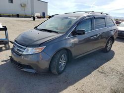 Salvage cars for sale at Tucson, AZ auction: 2013 Honda Odyssey EXL