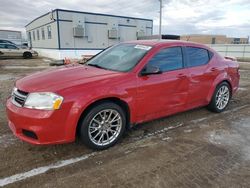 Salvage cars for sale at Bismarck, ND auction: 2013 Dodge Avenger SE