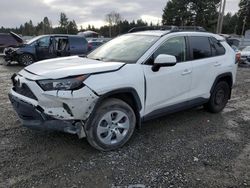 Salvage cars for sale at Graham, WA auction: 2019 Toyota Rav4 LE