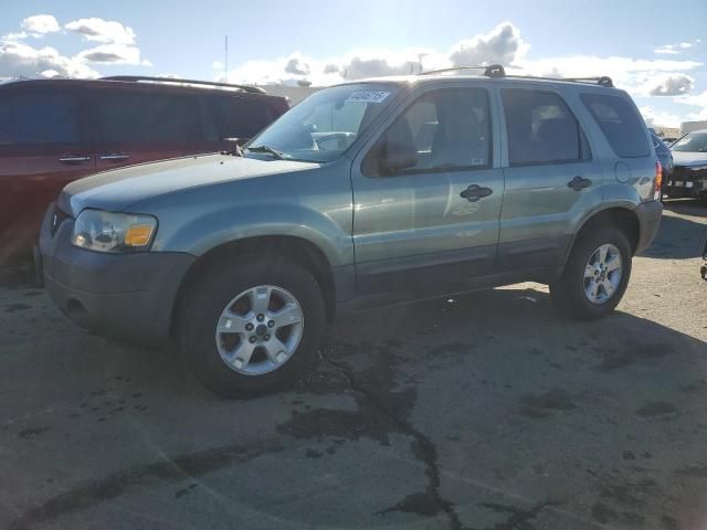 2007 Ford Escape XLT